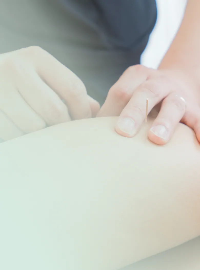 施術の様子
